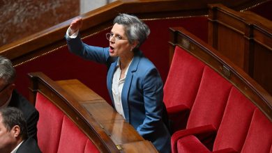 A l’Assemblée, Sandrine Rousseau montre un bras d’honneur après un amendement du RN, puis s’excuse